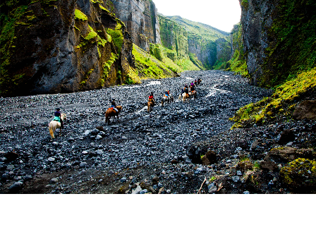 Riding with the Herd in Iceland 